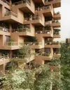 trees-toronto-07.webp