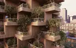 trees-toronto-01.webp