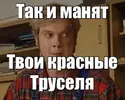 краные труселя.webp