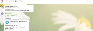 ботшоко.webp