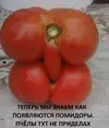 lSki1O500vM.webp