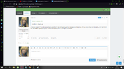 1590646480684.webp