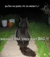 ьщ879.webp