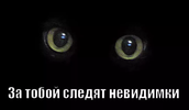 1591301948068.png