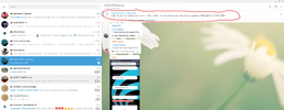 3.webp