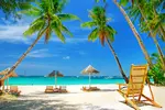 more-plyazh-pesok-palmy.webp