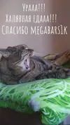 I-nJi9kkUfo.webp