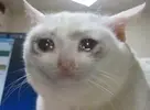 DoiFkq3JcWQ.webp