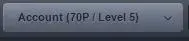 5.webp