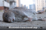 1601148738680.webp