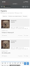 B0758CE8-5440-47C3-9A3B-E3A3E4379755.png
