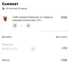 Screenshot_20201004-221918.webp
