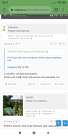 Screenshot_2020-10-10-22-12-01-017_com.android.chrome.webp