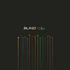 blindvoll.webp