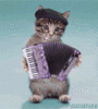 macka.gif macka.gif