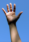 1603950544387.webp