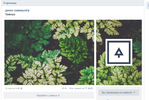 Screenshot_1.webp