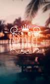 123213.webp