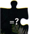 puzzle.webp