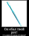 rpzQ-olHdt4.webp