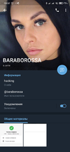 Screenshot_2020-11-07-13-57-26-572_org.telegram.messenger.webp