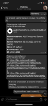 76BDC028-2FAC-4BF3-A25C-35D3193362A7.webp