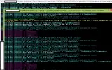 213123.webp