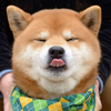1605902288349.webp