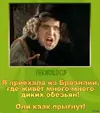 pic.webp