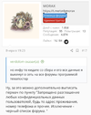 B8CDE2A1-5AFC-45FE-A665-0D653A674F32.webp