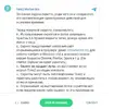 14.webp