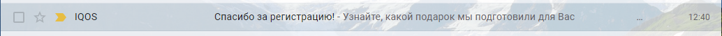 12.webp