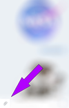 15.webp