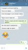 Screenshot_2020-12-20-01-16-45-750_org.telegram.messenger.png