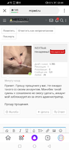 Screenshot_20201223_204428_ru.yandex.searchplugin.jpg