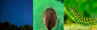 1002.PNG