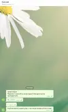 shekanec2.webp