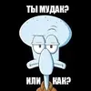 images.webp