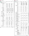 Новый точечный рисунок.webp