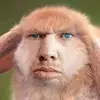 uyPoy2knt0U.webp