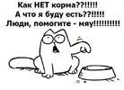 кот просит еды.webp