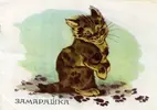 IMG_20210227_151927_927.webp IMG_20210227_151927_927.webp