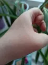 BHn2OUOLrkE.webp