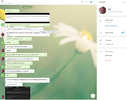 Screenshot_2.webp