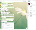 Screenshot_6.webp