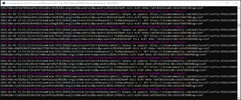 5.webp