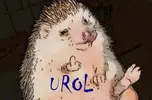 urol.webp