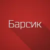 мини2.webp
