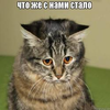 1616272604696.webp