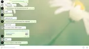 тупой 2.webp